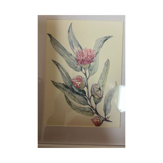 Flowering Gum