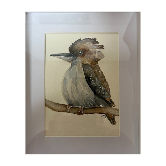 Kookaburra