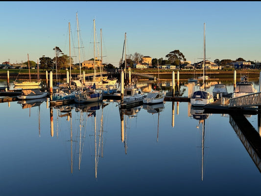 Mooring in the Cove