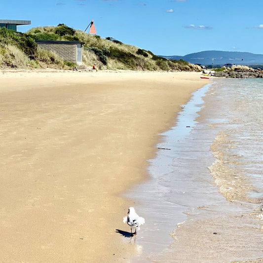 Lagoon Beach Walk