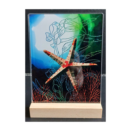 Starfish Print