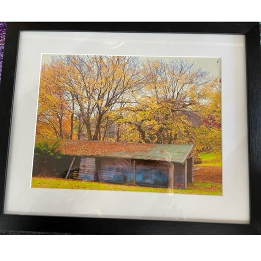Framed Picture - Autumn by Sue Doherty