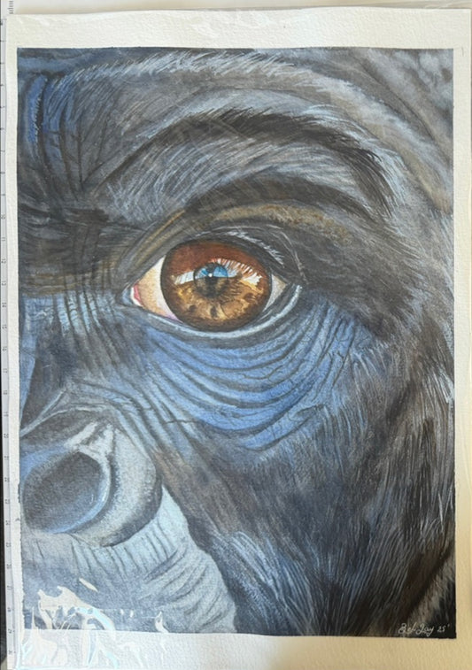 Gorilla Unframed Watercolour