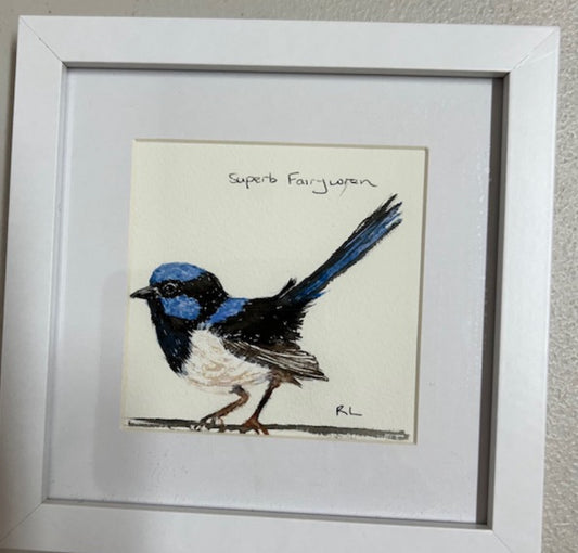 Blue Wren