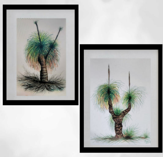 Tasmanian Grass Tree Art