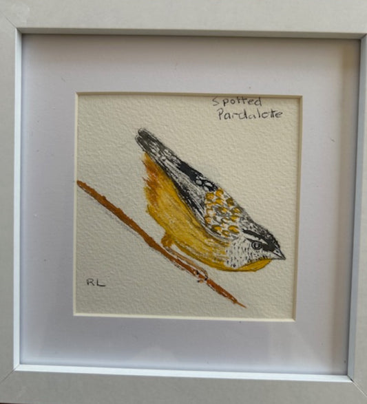 Spotted Pardalote
