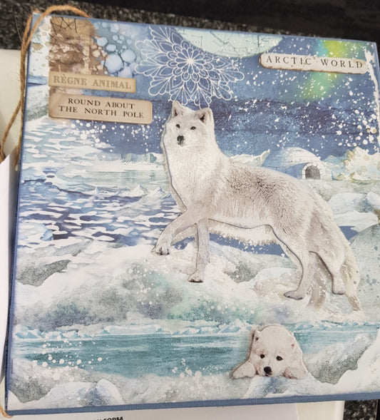 Mini Album