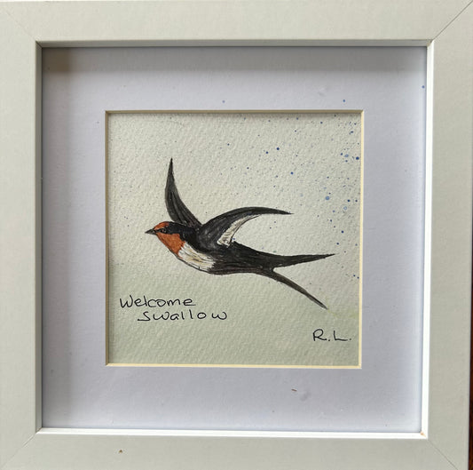 Welcome Swallow