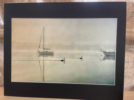 Misty Cove