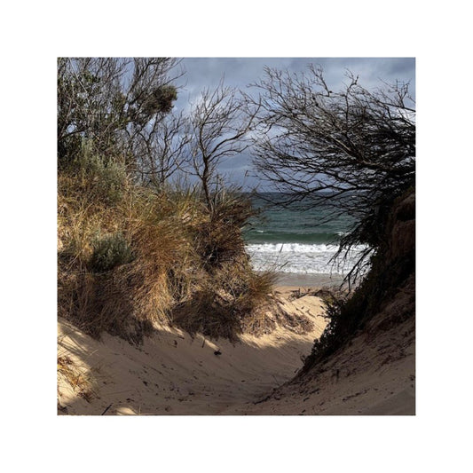 A4 East Beach Walkway #1