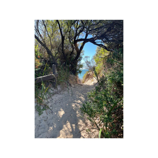 6x4 Photo Card, East Beach Walkway