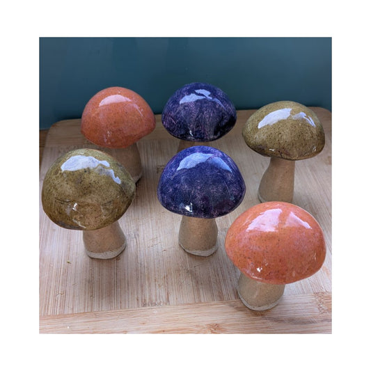 Mushroom Magic