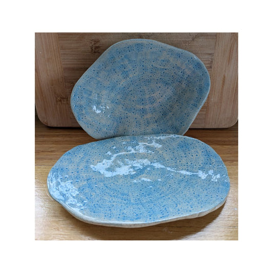 Sea Urchin Spoon Rest