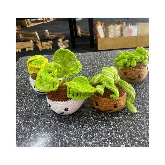 Medium Crocheted Pot Plant