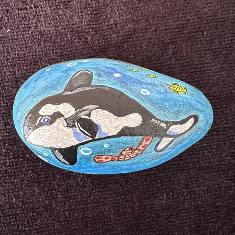 Orca on rock