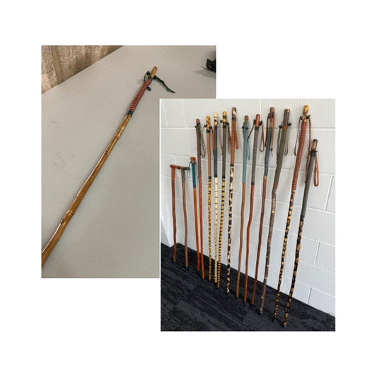Hiking Stick