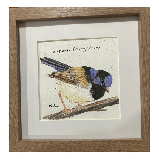 Fairy Wren