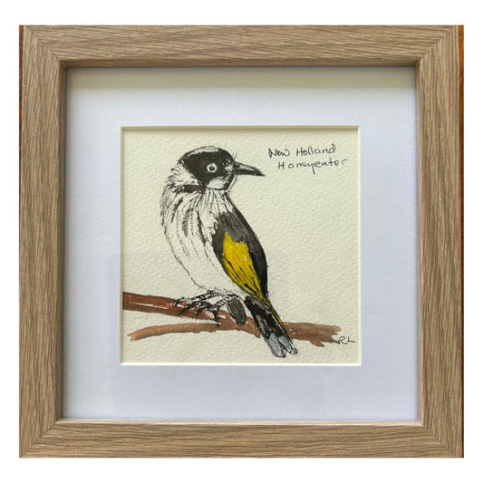 Holland Honey Eater