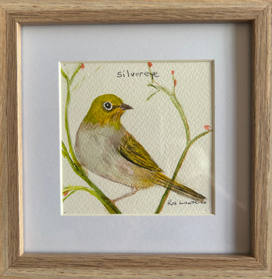 Silvereye