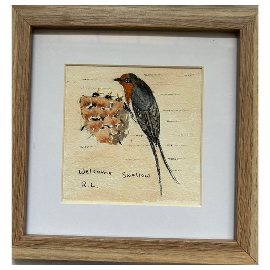 Welcome Swallow