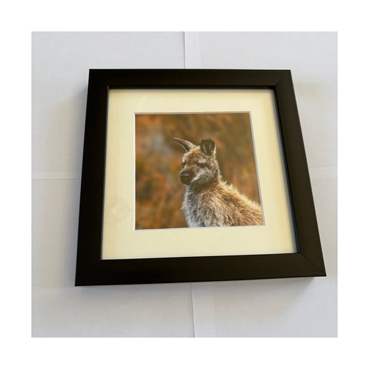 Assorted 20x20 Framed Prints