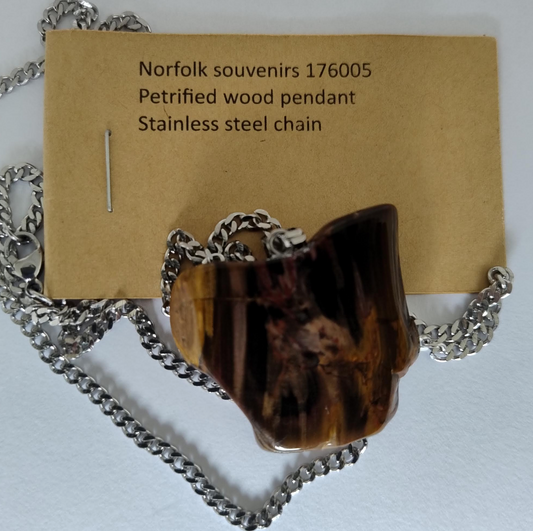 Petrified Wood Pendant