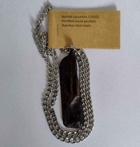 Petrified Wood Pendant