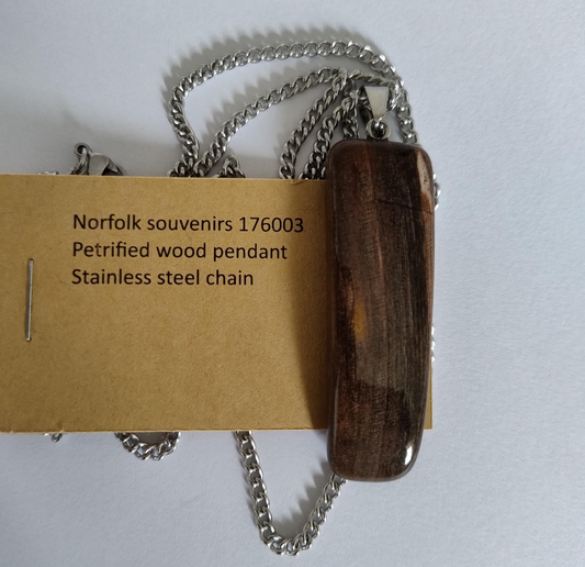 Petrified Wood Pendant