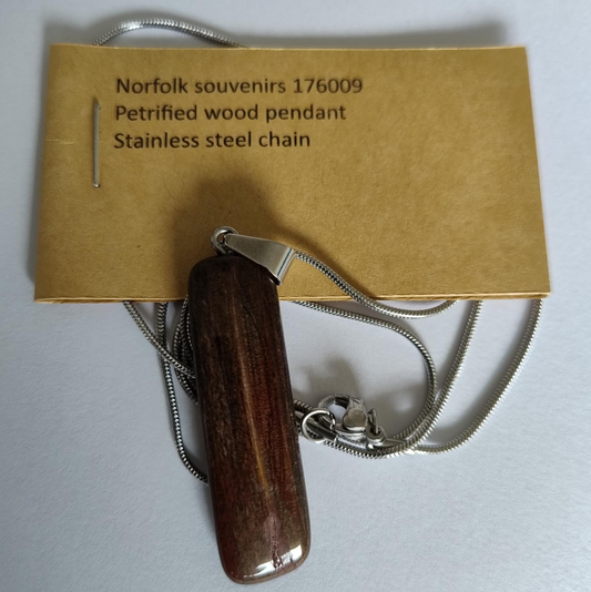 Petrified Wood Pendant