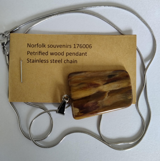 Petrified Wood Pendant