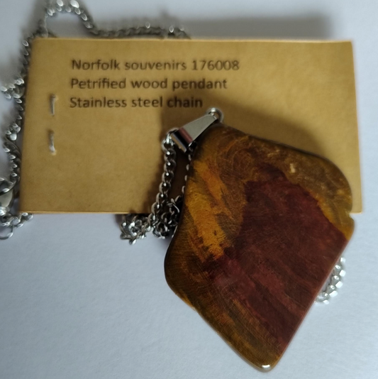 Petrified Wood Pendant