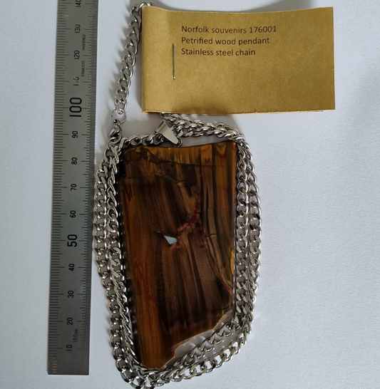 Petrified Wood Pendant