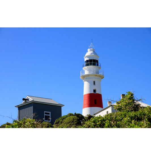 Lighthouse & Fog Horn Postcard