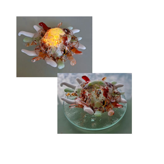 Tentacle Sea Creature #2