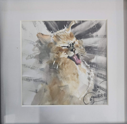 Cranky Cat