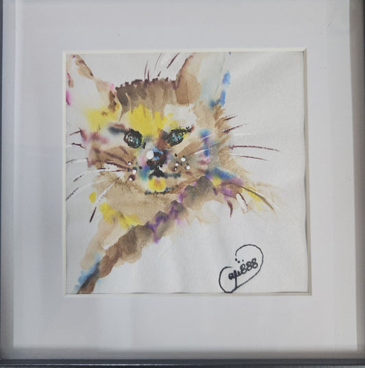 Cutie Cat