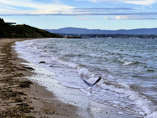 Taking Off - Lagoon Beach