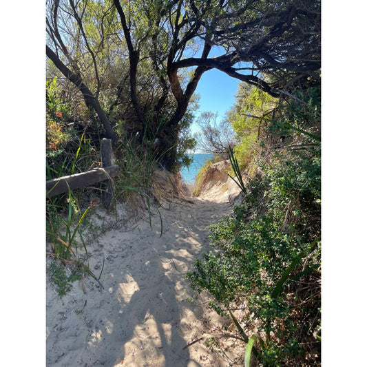 Walkway to East Beach